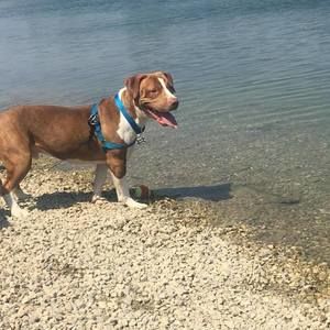 Meet your Posher, Jason